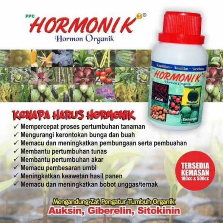 HORMONIK 100cc 4