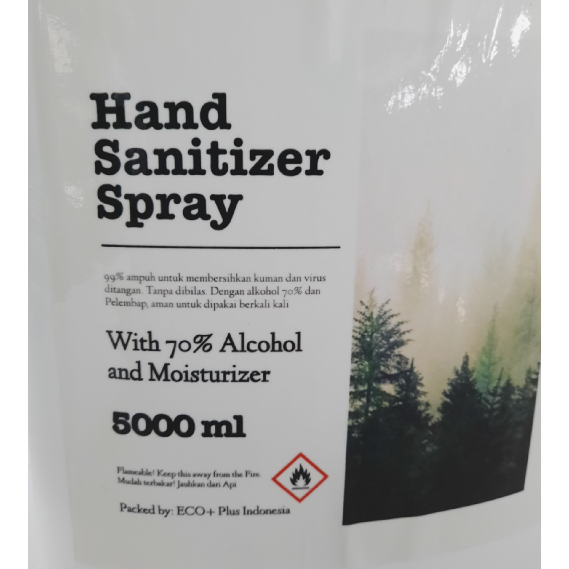 Hand Sanitizer Spray 5