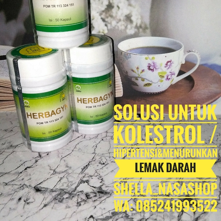 Herbagyn obat Kolestrol dan hipertensi