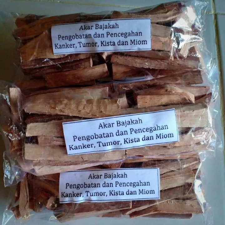 Herbal Akar Bajakah