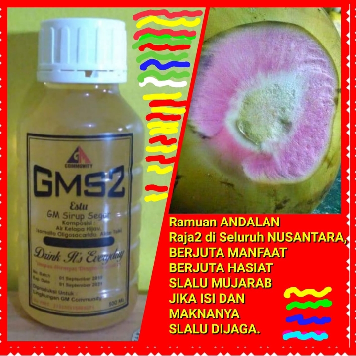 Herbal Gms2 Mengandung Universal Induksi Energy