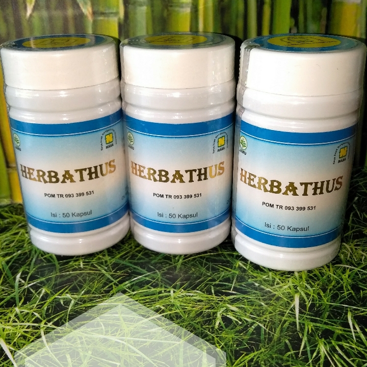 Herbatus obat asam uratnyeri sendi