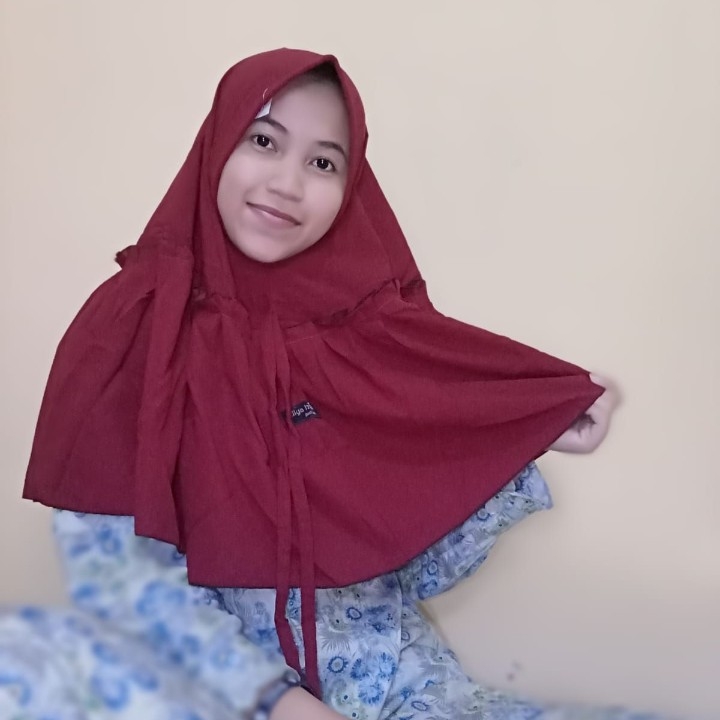 Hijab Instad  2