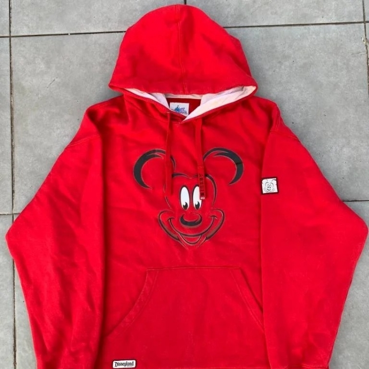 Hoodie DISNEYLAND 