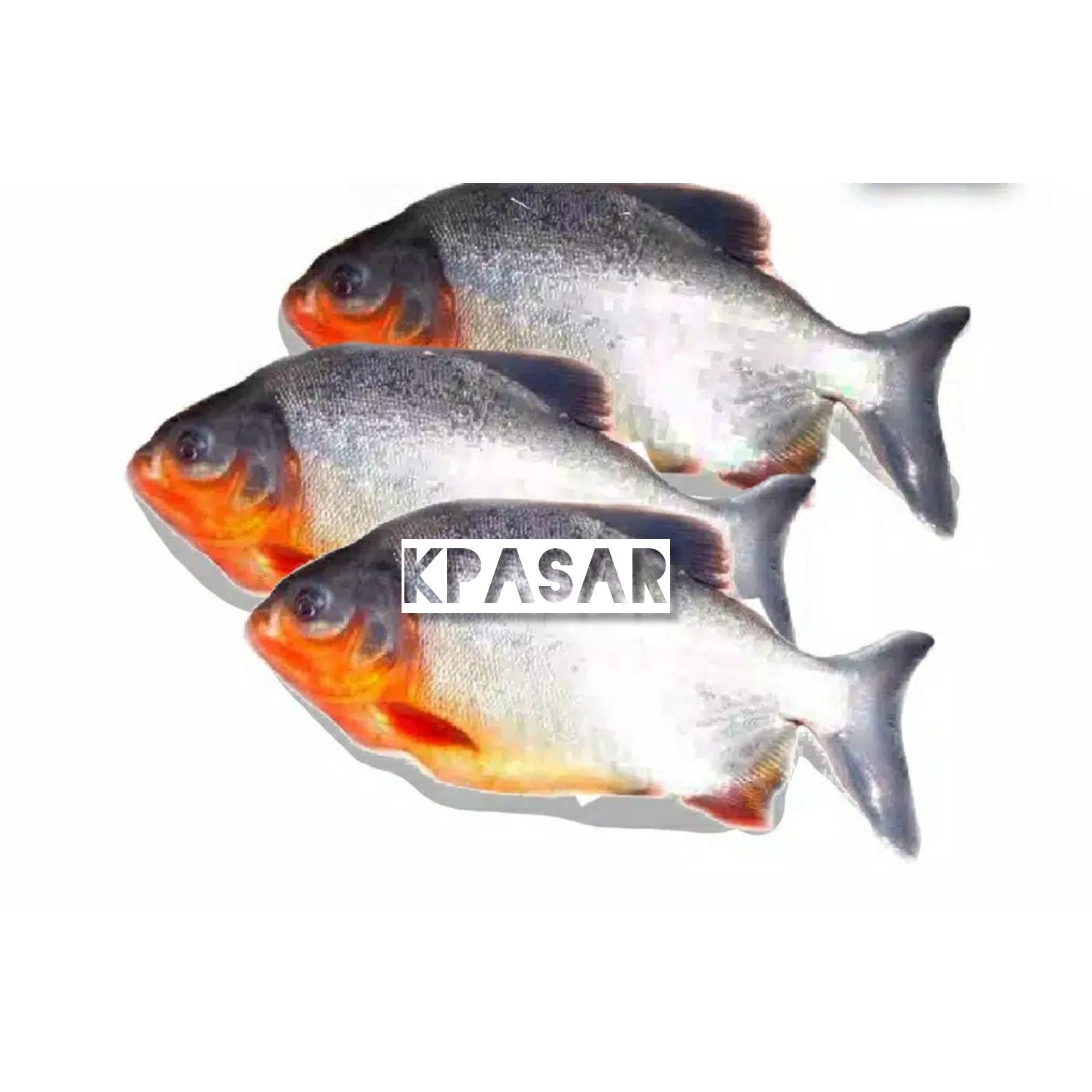 IKAN BAWAL 500 GRAM