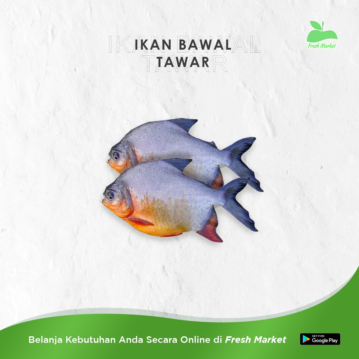 IKAN BAWAL TAWAR 500 GRAM