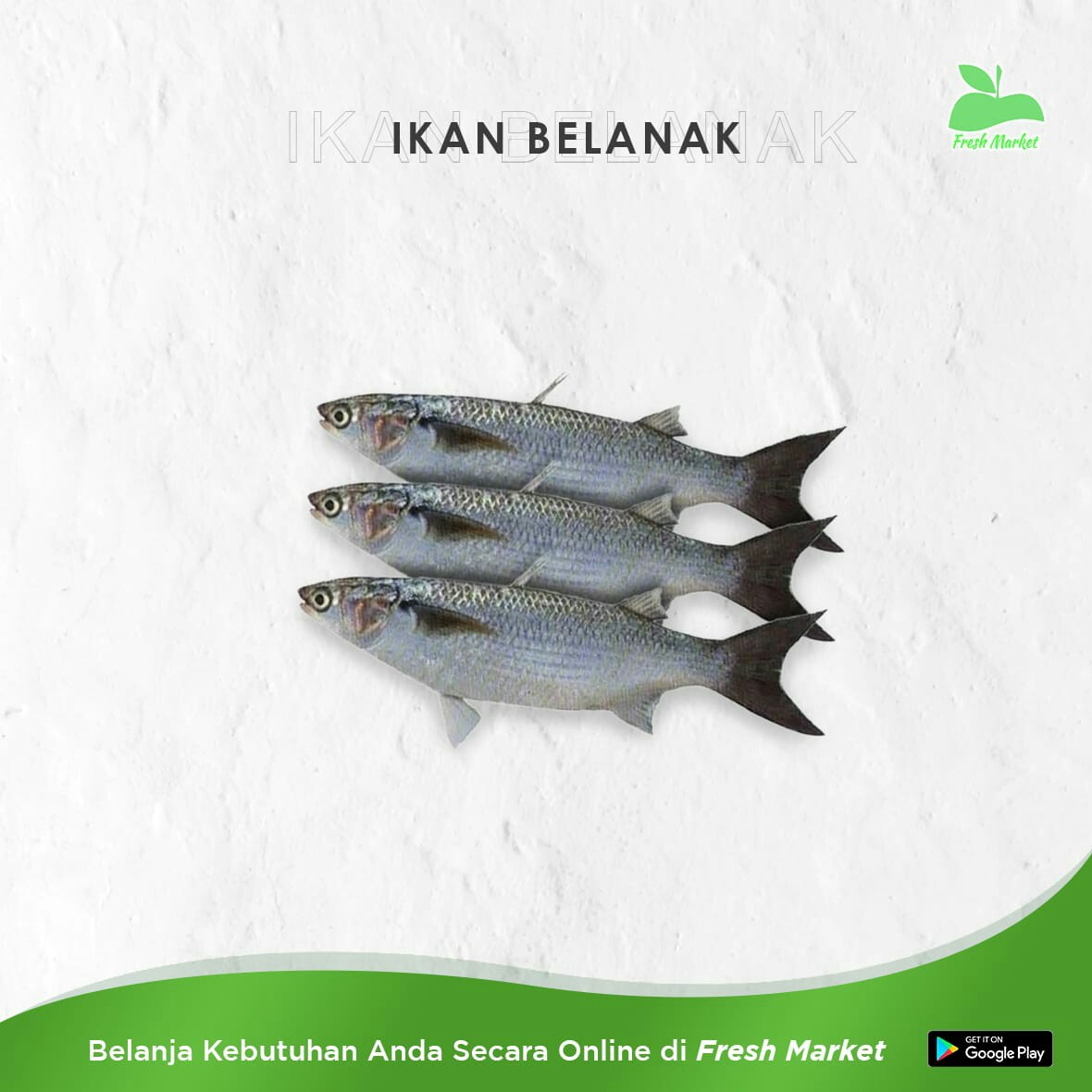 IKAN BELANAK 500 GRAM