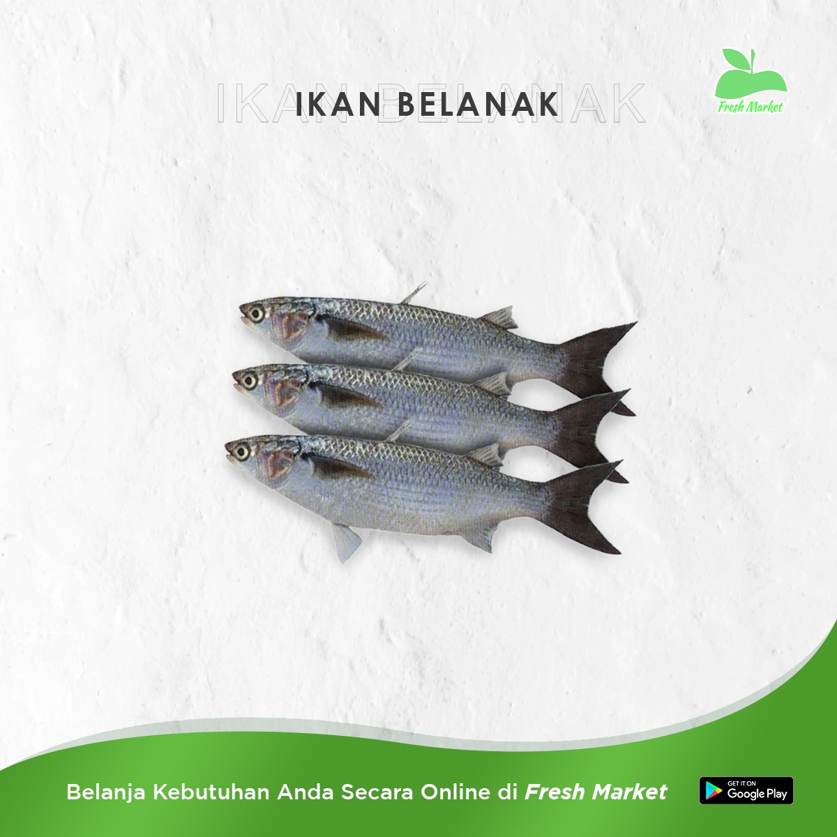 IKAN BELANAK 500 GRAM