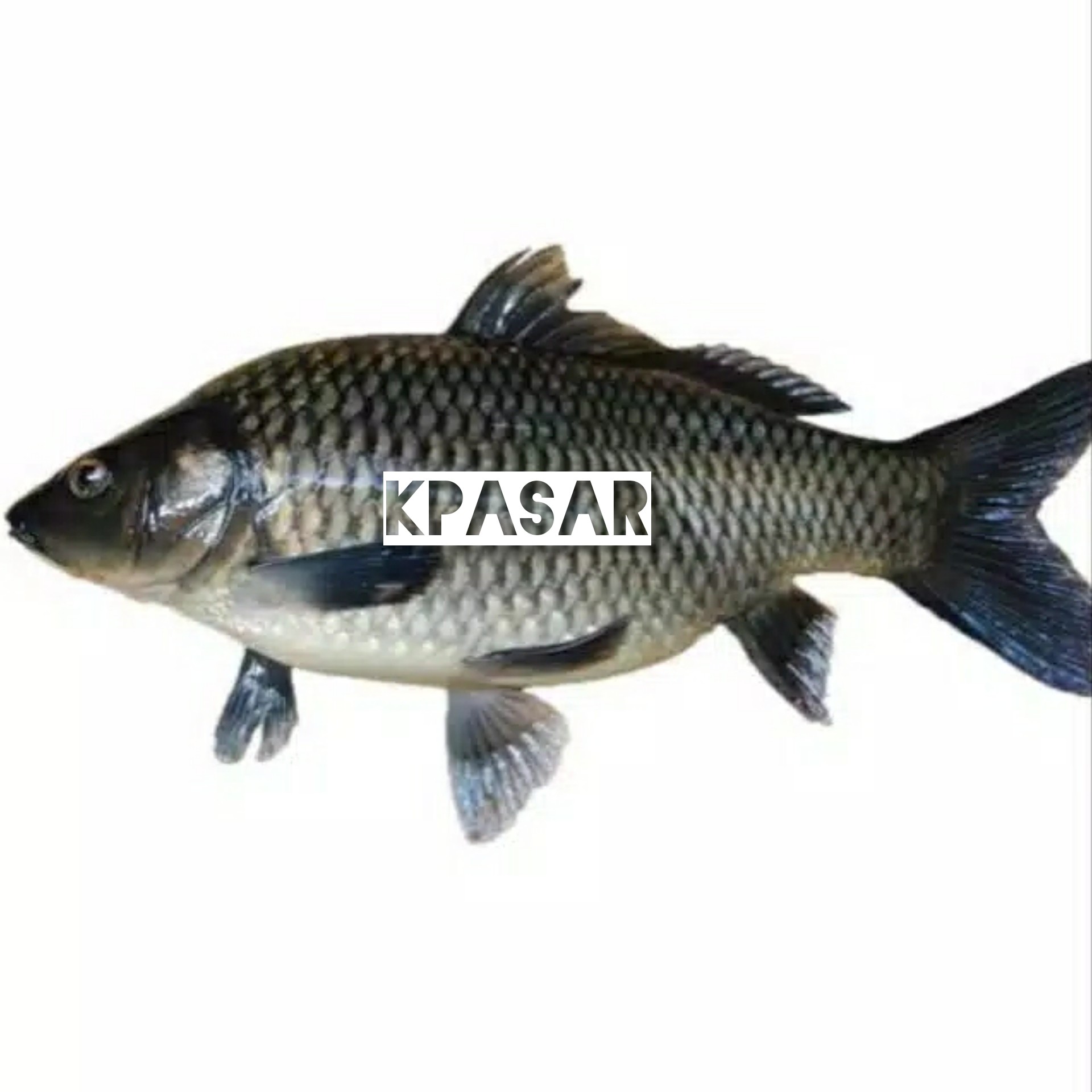 IKAN EMAS 500 GRAM