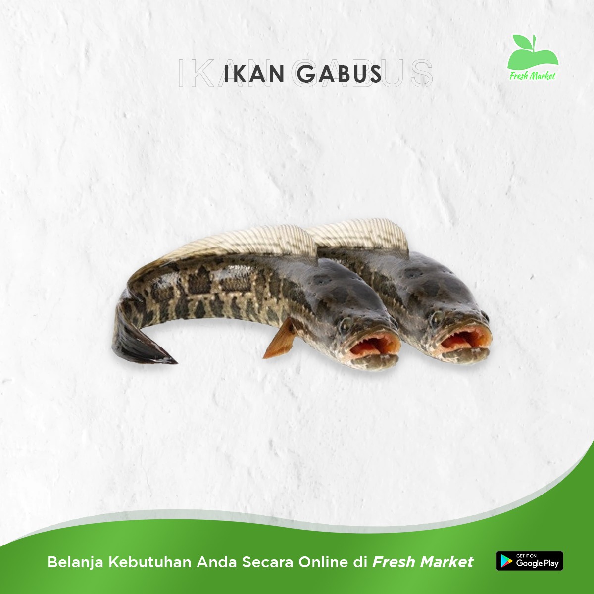 IKAN GABUS 500 GRAM