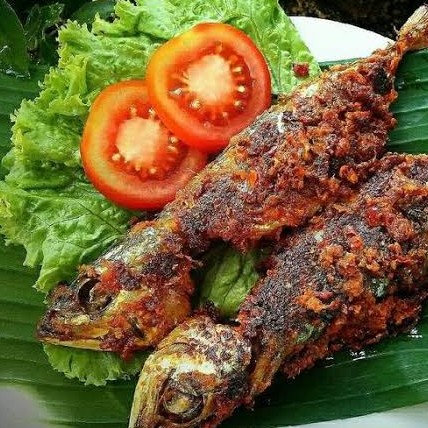 IKAN GEMBUNG BAKAR