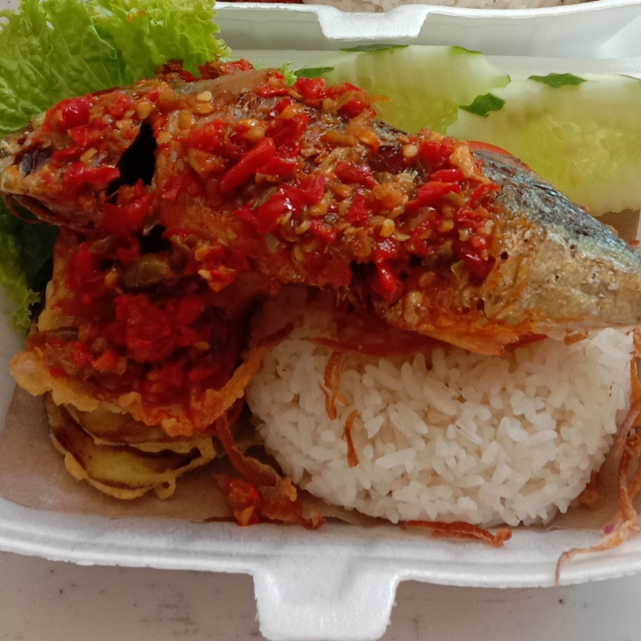 IKAN GEMBUNG SAMBEL CRN