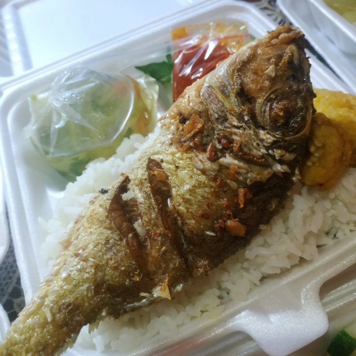 IKAN KATAMBA