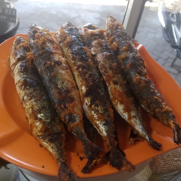 IKAN KEMBUNG