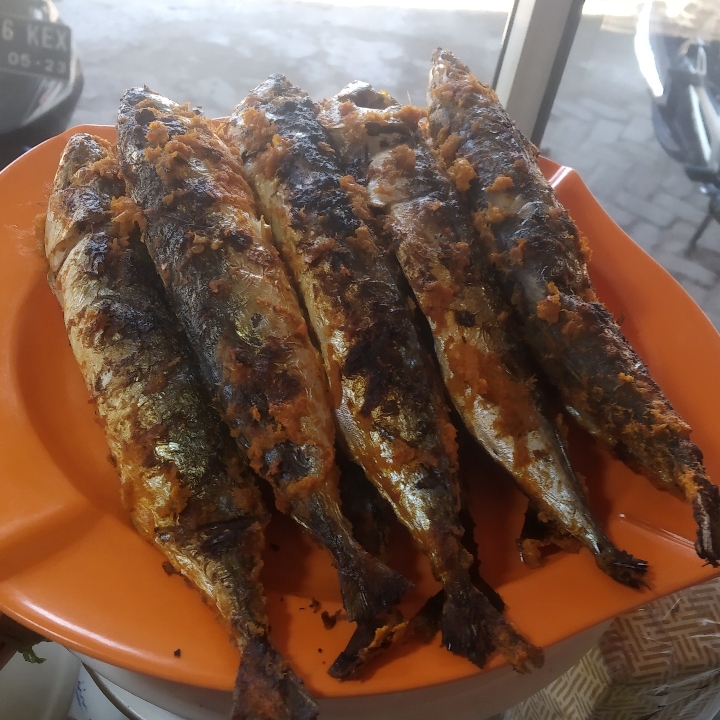 IKAN KEMBUNG 