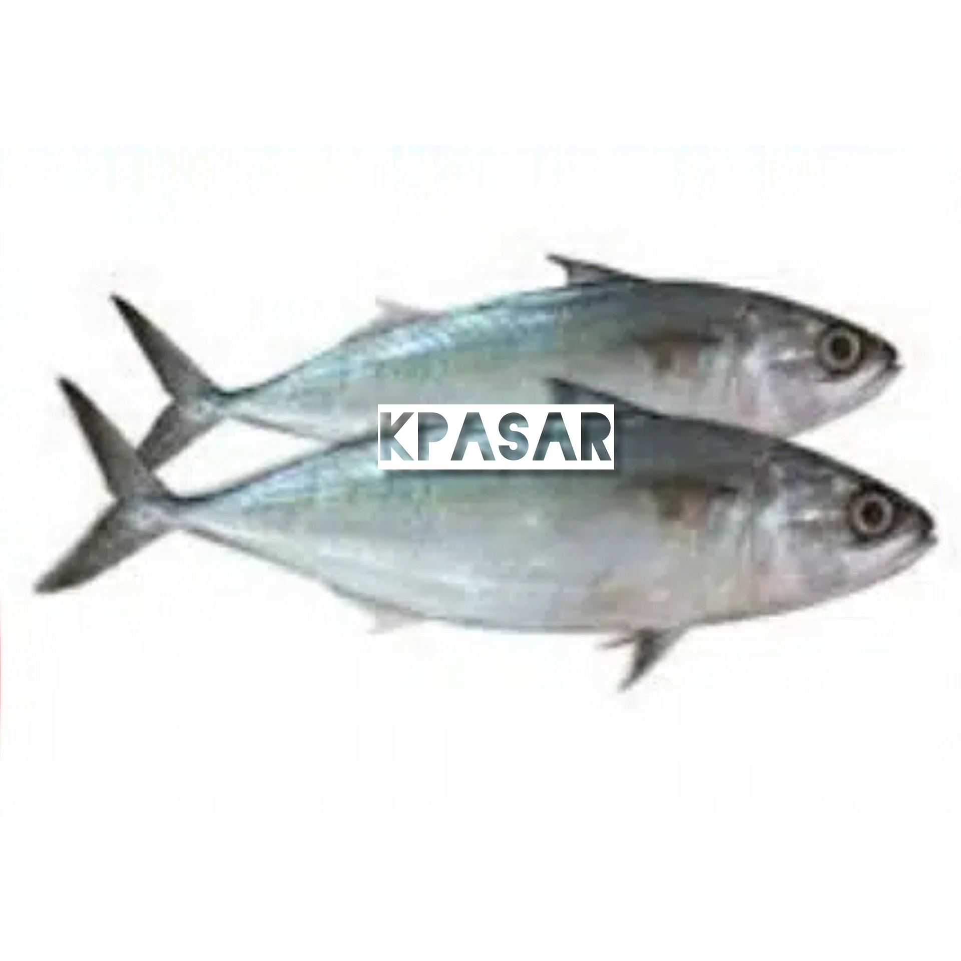 IKAN KEMBUNG BANJAR 500 GRAM