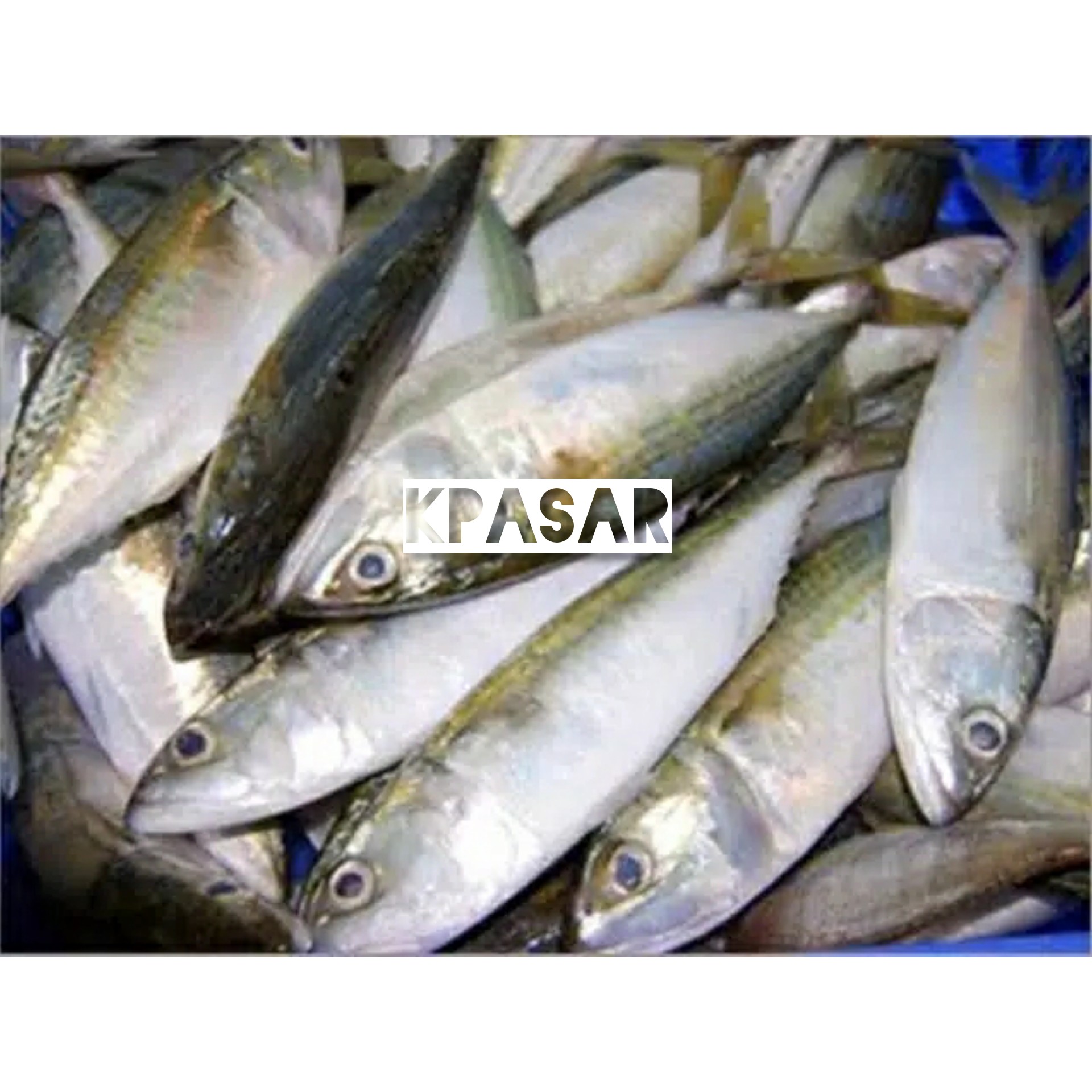 IKAN KEMBUNG BANJAR 500 GRAM 2