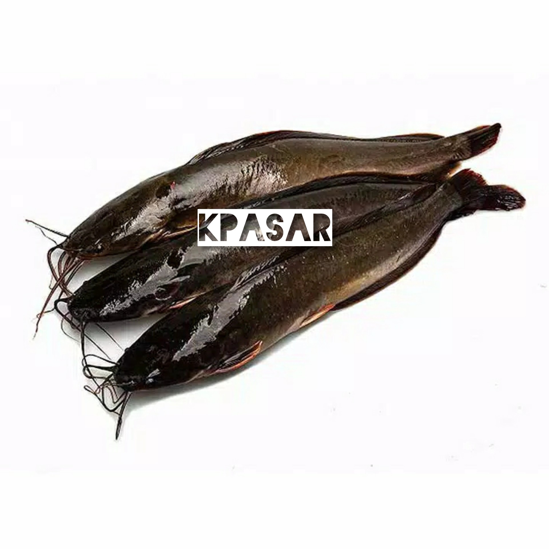 IKAN LELE 500 GRAM