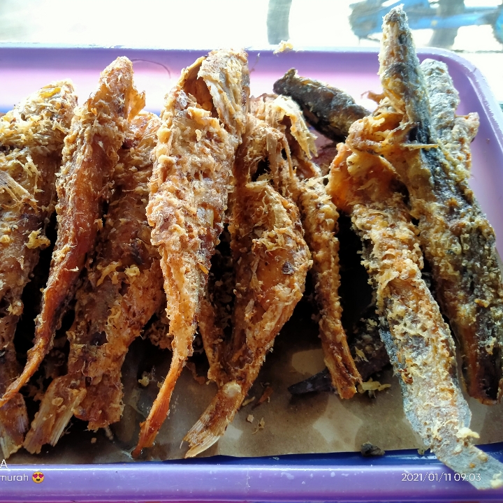 IKAN LELE GORENG IKAN KUNIRAN GORENG