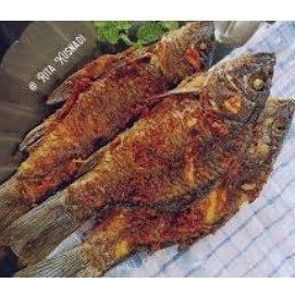 IKAN MAS GORENG