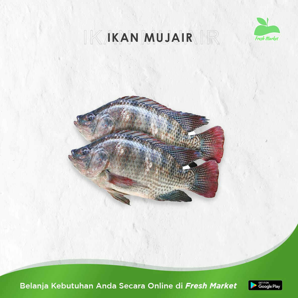 IKAN MUJAIR 500 GRAM