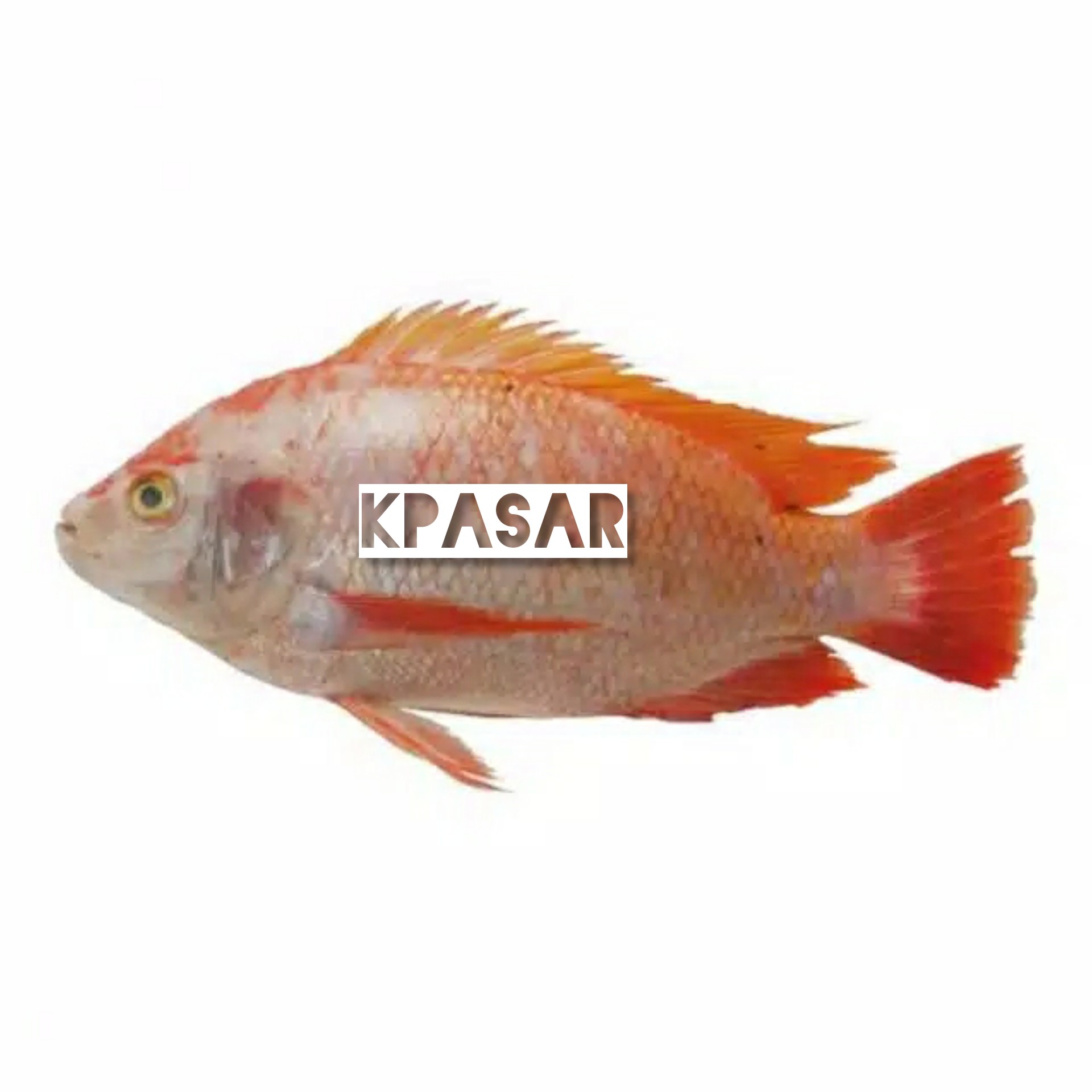 IKAN NILA 500 GRAM