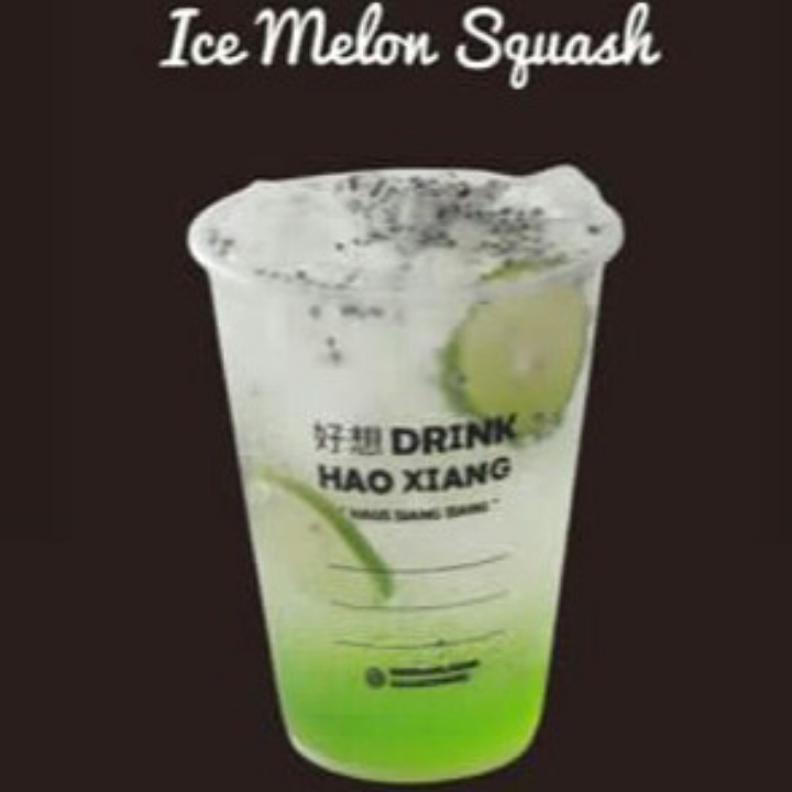 Ice Melon Lime Squash