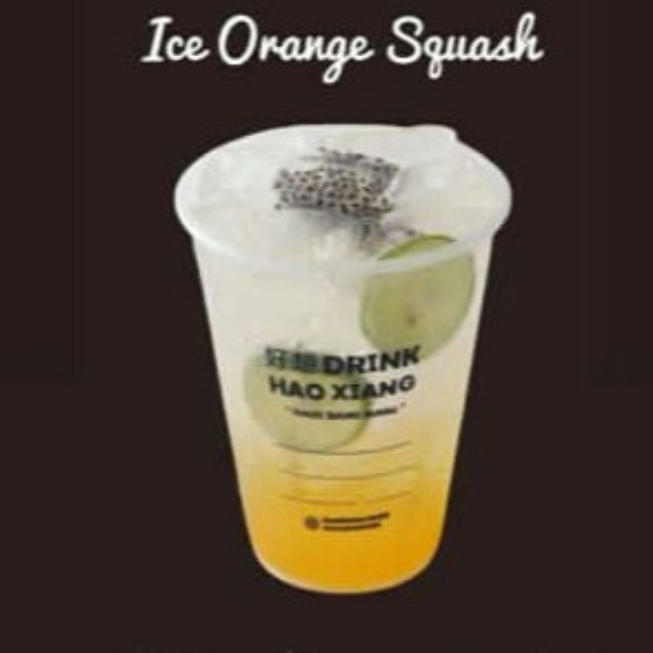 Ice Orange Squash