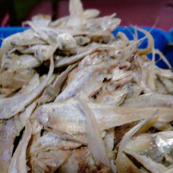 Ikan Asin Bulu Ayam