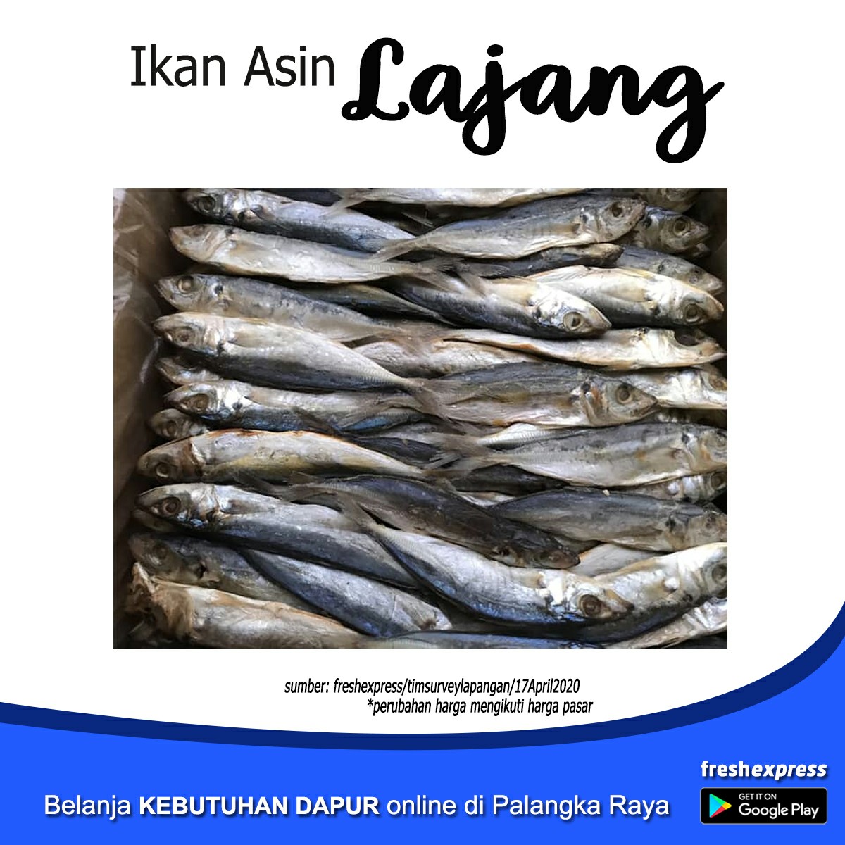 Ikan Asin Lajang 1 Kg