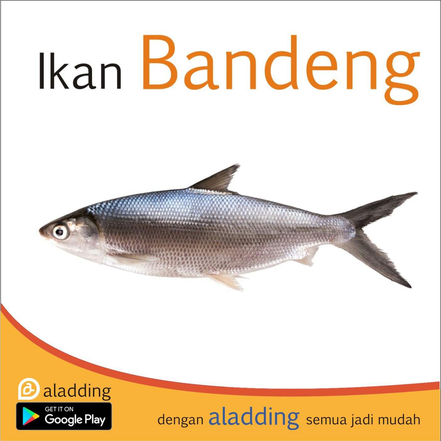 Ikan Bandeng 500gr