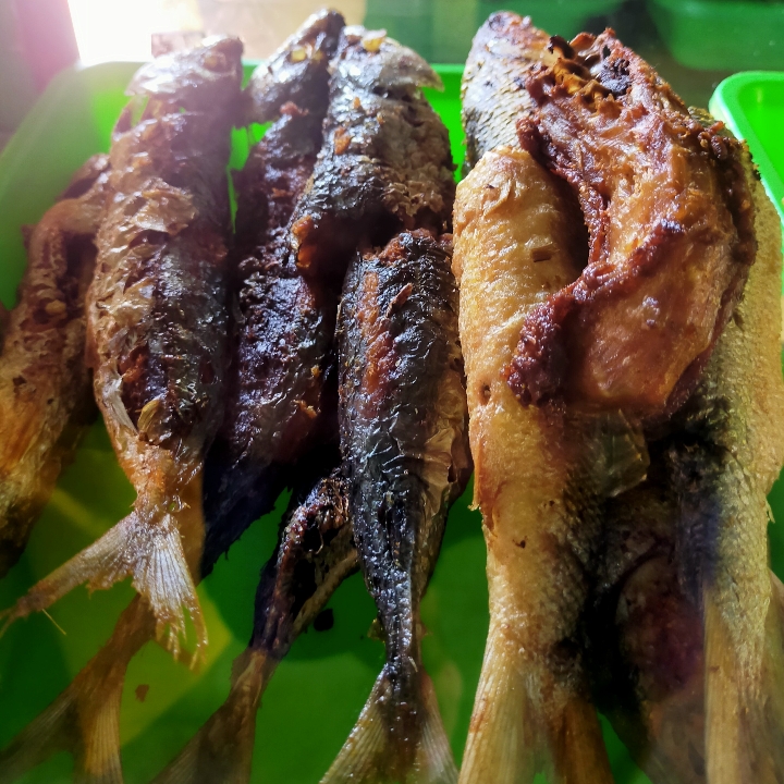 Ikan Bandeng Goreng - Halal