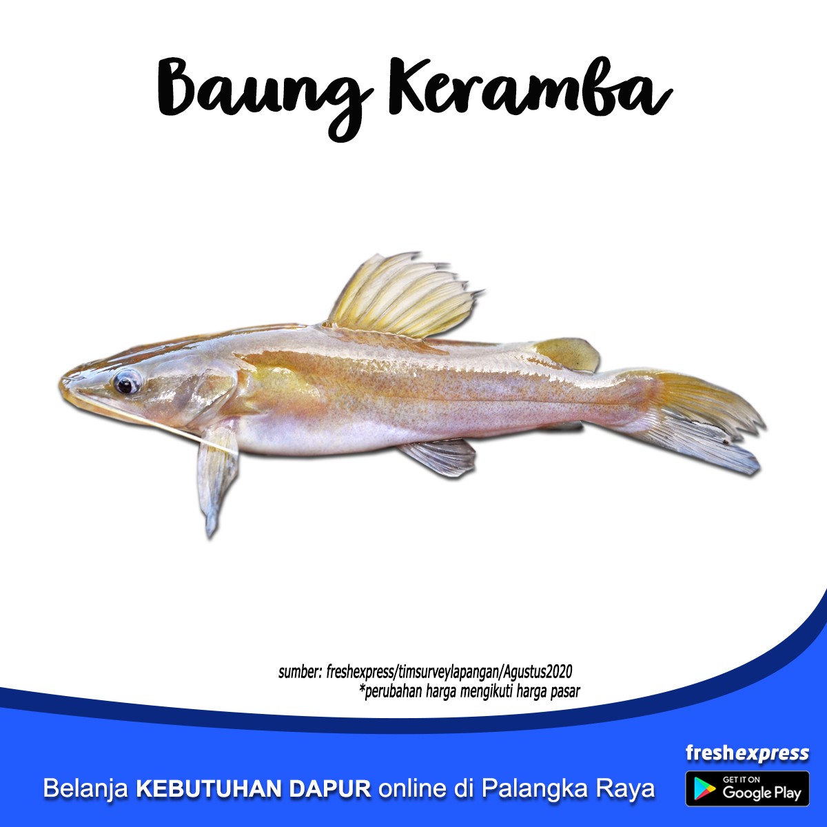 Ikan Baung Keramba 1 Kg