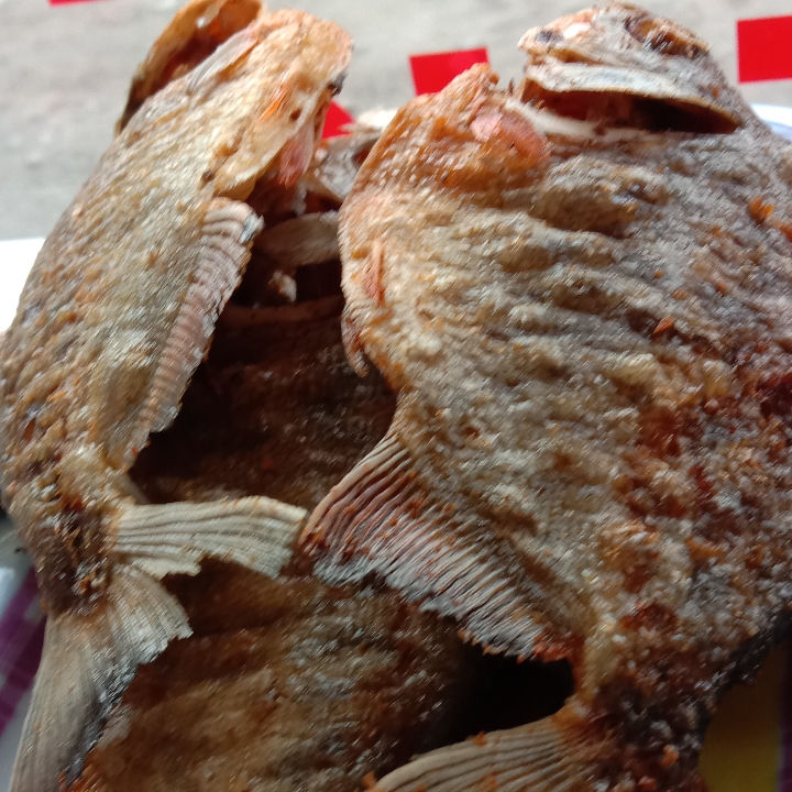 Ikan Bawal