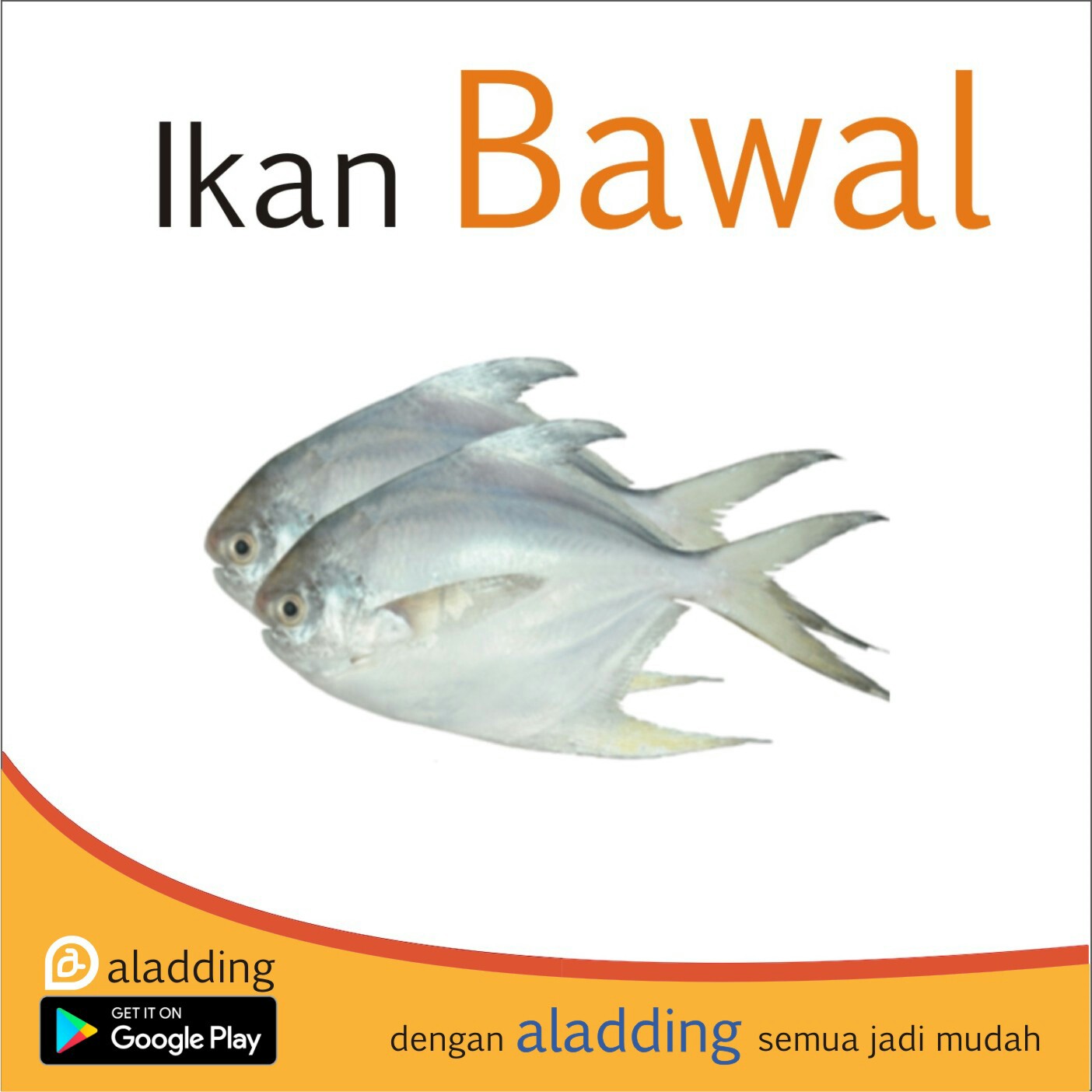 Ikan Bawal 500gr