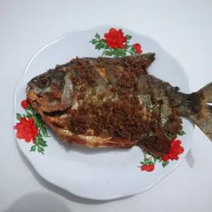 Ikan Bawal