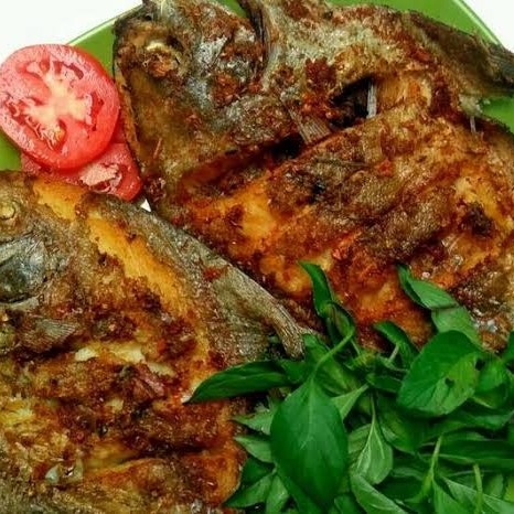 Ikan Bawal Goreng Atau Bakar