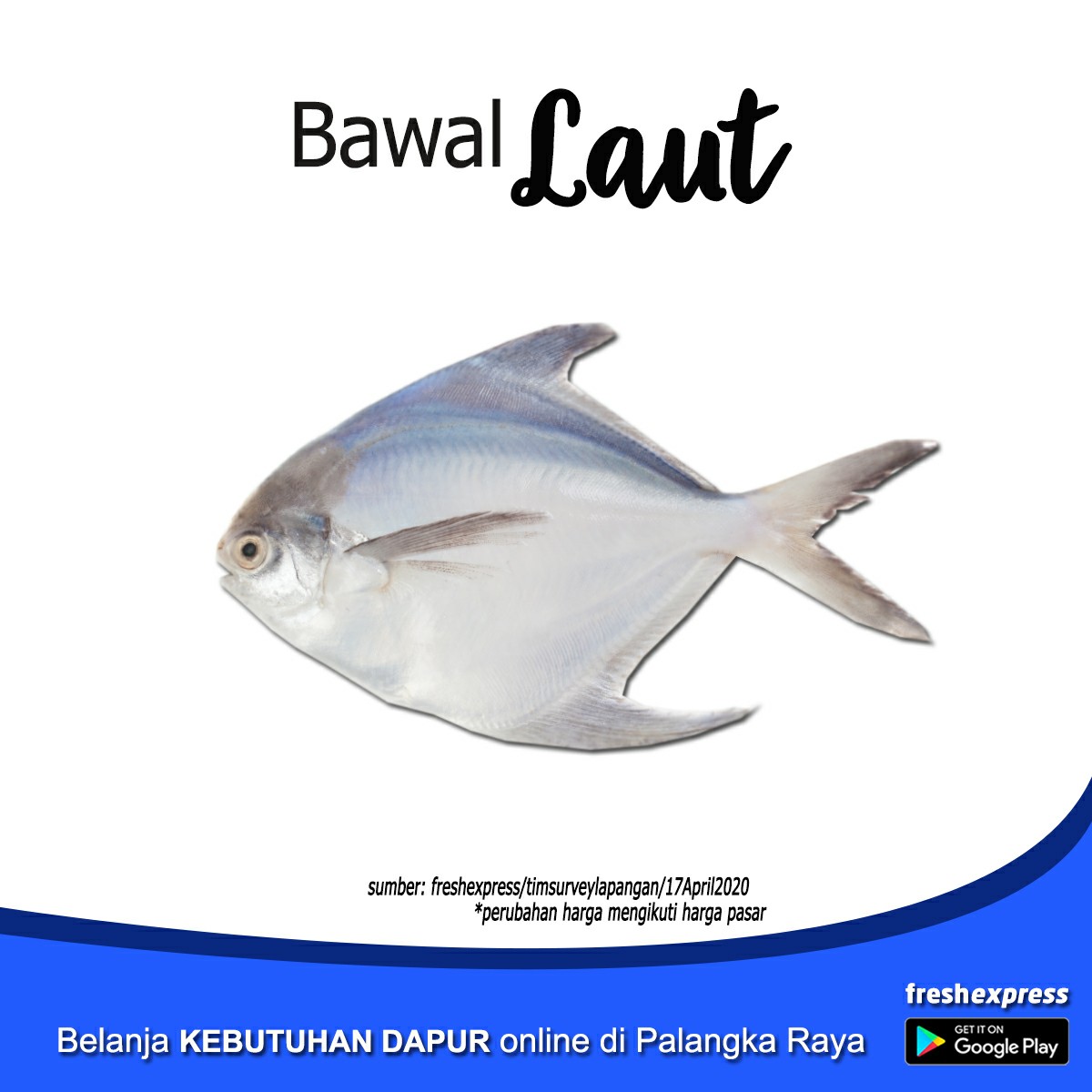 Ikan Bawal Laut - 1Kg