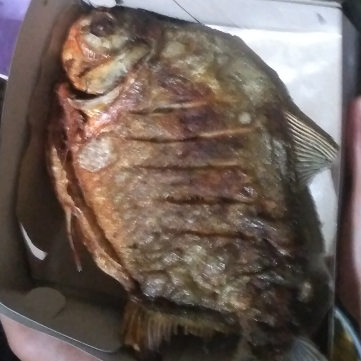 Ikan Bawal Tawar Bakar 3