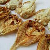 Ikan Garam