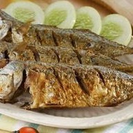 Ikan Gembung