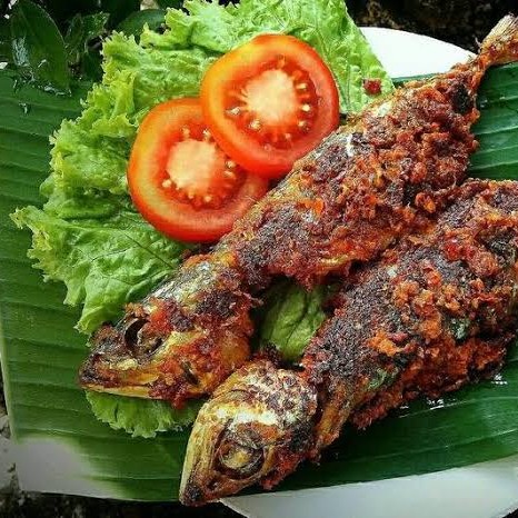 Ikan Gembung