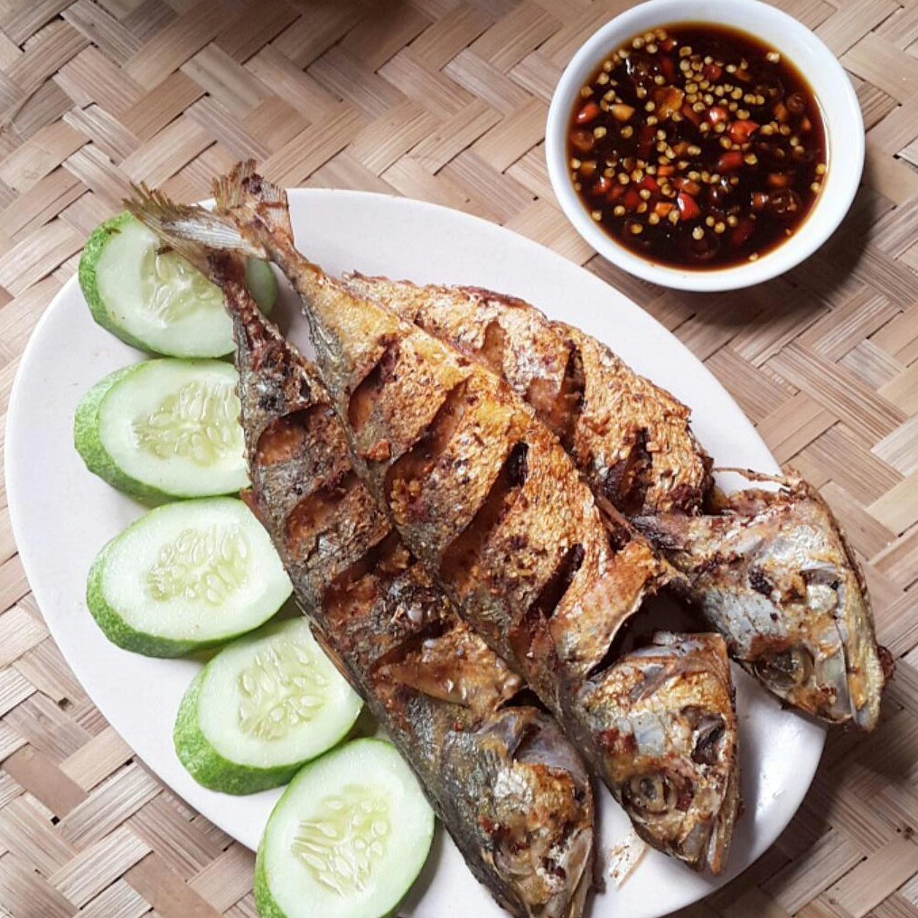 Ikan Gembung