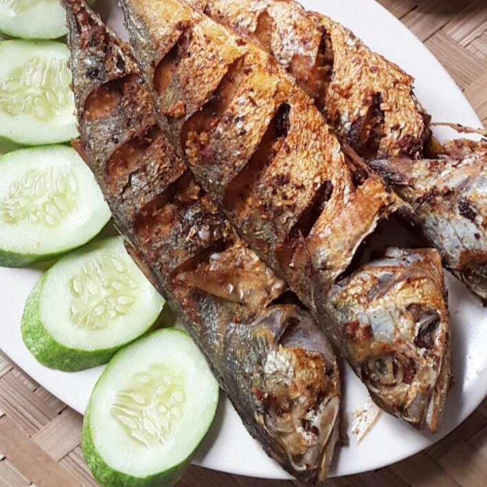 Ikan Gembung