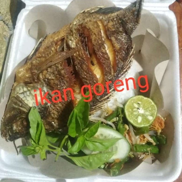 Ikan Goreng Biasa