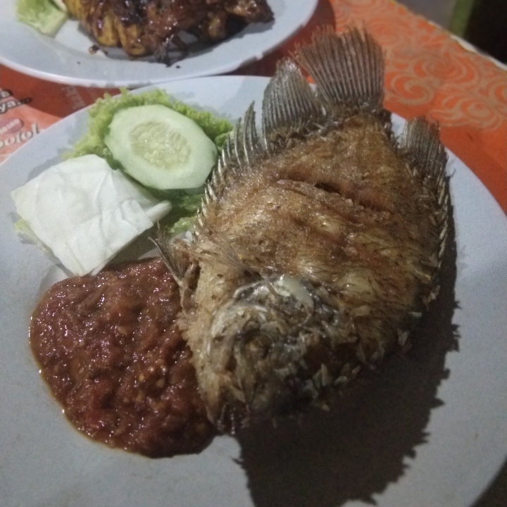 Ikan Gurami Dan Nasi