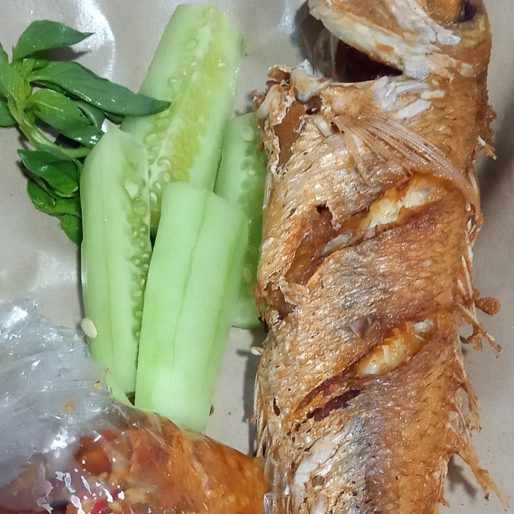 Ikan Jangki