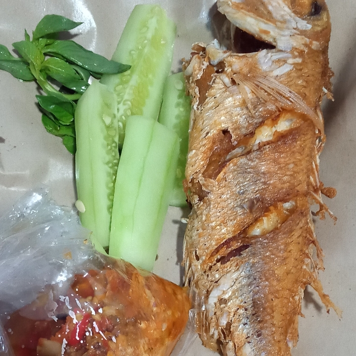 Ikan Jangki