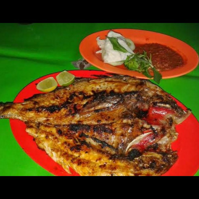 Ikan Kakap