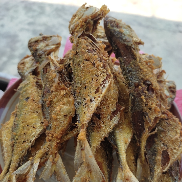 Nasi Ikan Kembung Goreng